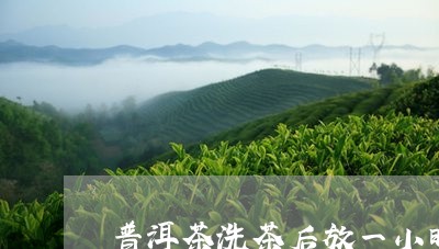 普洱茶洗茶后放一小时/2023061958603