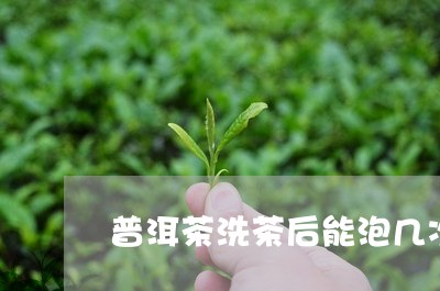 普洱茶洗茶后能泡几次/2023062447371