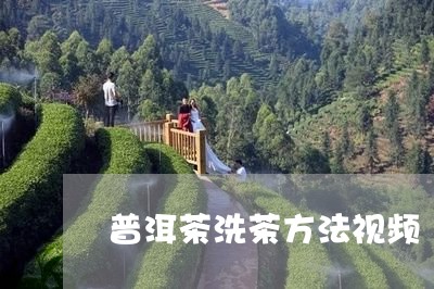 普洱茶洗茶方法视频/2023120593805