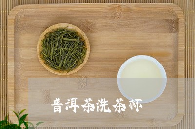 普洱茶洗茶杯/2023042779922