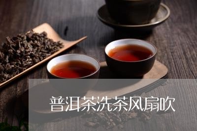 普洱茶洗茶风扇吹/2023062874938