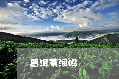 普洱茶润吗/2023081876571