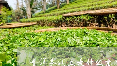 普洱茶润土是什么意思/2023061772616