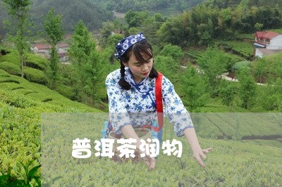 普洱茶润物/2023121750836