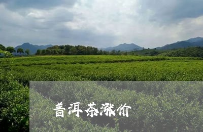 普洱茶涨价/2023090696848