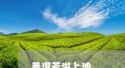 普洱茶淋上油/2023042773261