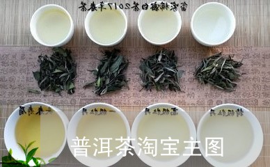 普洱茶淘宝主图/2023082630594