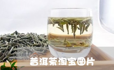 普洱茶淘宝图片/2023101675936