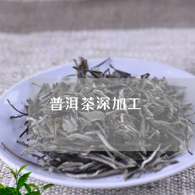 普洱茶深加工/2023042960205