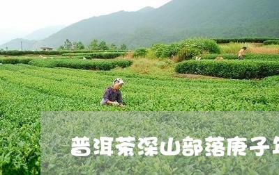 普洱茶深山部落庚子年460/2023052989405