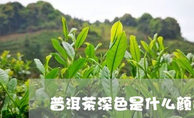 普洱茶深色是什么颜色/2023062589372