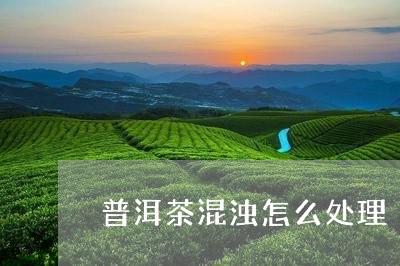 普洱茶混浊怎么处理/2023091476683