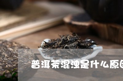 普洱茶混浊是什么原因/2023073012735