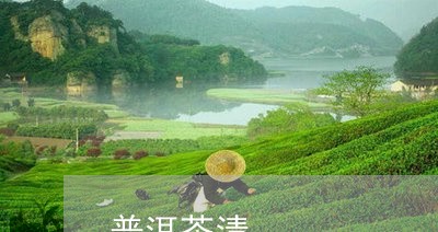 普洱茶清/2023121886269