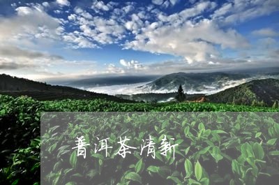 普洱茶清新/2023090619506