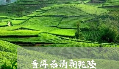 普洱茶清朝乾隆/2023070911704