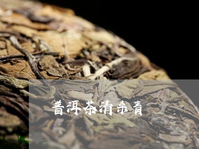 普洱茶清杀青/2023042728143