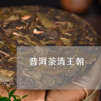 普洱茶清王朝/2023042711203