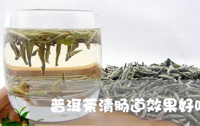 普洱茶清肠道效果好吗/2023120689613