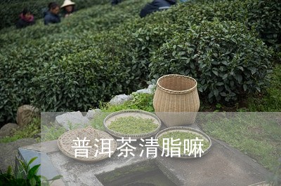 普洱茶清脂嘛/2023042503319