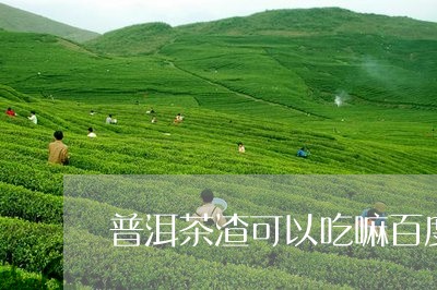 普洱茶渣可以吃嘛百度/2023083032514