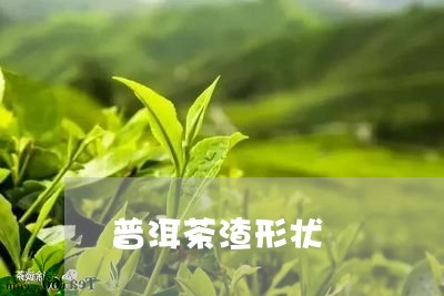 普洱茶渣形状/2023042818333