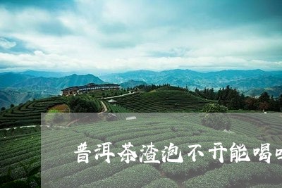 普洱茶渣泡不开能喝吗/2023092750928