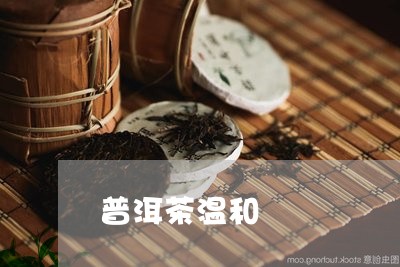 普洱茶温和/2023090690613