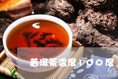 普洱茶温度100度/2023091465159