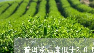 普洱茶温度低于20度/2023062743946