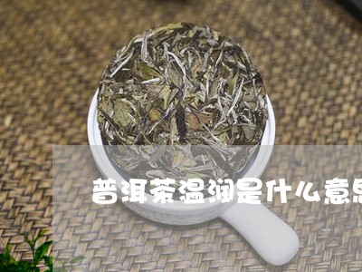 普洱茶温润是什么意思/2023061832835