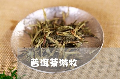 普洱茶游牧/2023102511592