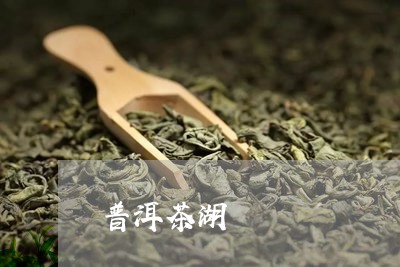 普洱茶湖/2023110866369