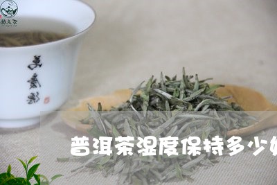 普洱茶湿度保持多少好/2023062718359