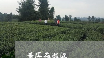 普洱茶湿边/2023090605948