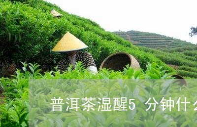 普洱茶湿醒5分钟什么意思/2024010457069