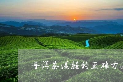 普洱茶湿醒的正确方法/2023092997504