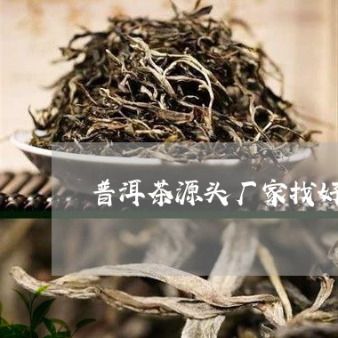 普洱茶源头厂家找好茶/2023080180415