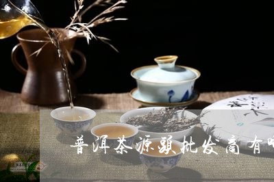 普洱茶源头批发商有哪些/2023112821715