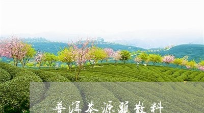 普洱茶源头散料/2023101698170