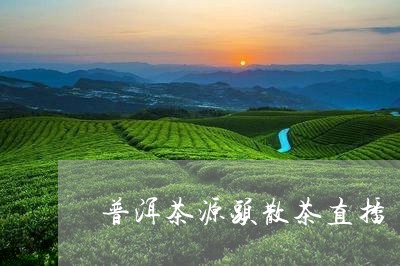 普洱茶源头散茶直播/2023091494917