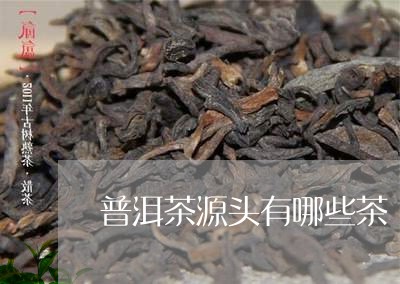 普洱茶源头有哪些茶/2023121716148