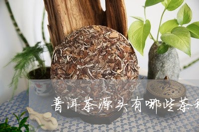 普洱茶源头有哪些茶种名称/2023112463928