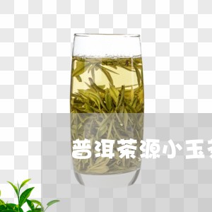 普洱茶源小玉茶厂直销/2023062387692