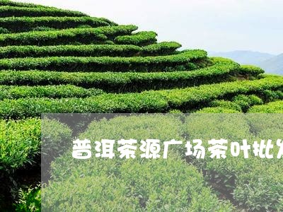 普洱茶源广场茶叶批发/2023080261717