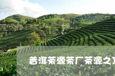 普洱茶源茶厂茶源之顶/2023062222805