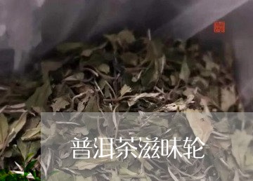 普洱茶滋味轮/2023042649102