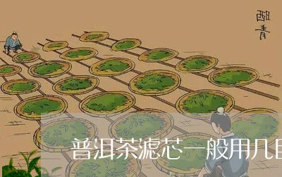 普洱茶滤芯一般用几目/2023092605161