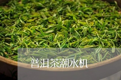 普洱茶潮水机/2023042734648