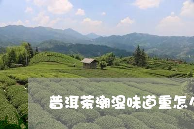 普洱茶潮湿味道重怎么办/2023110183416